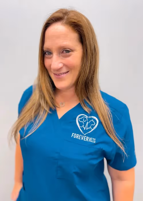 staff profile