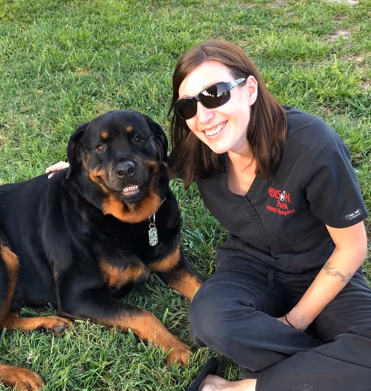 staff profile