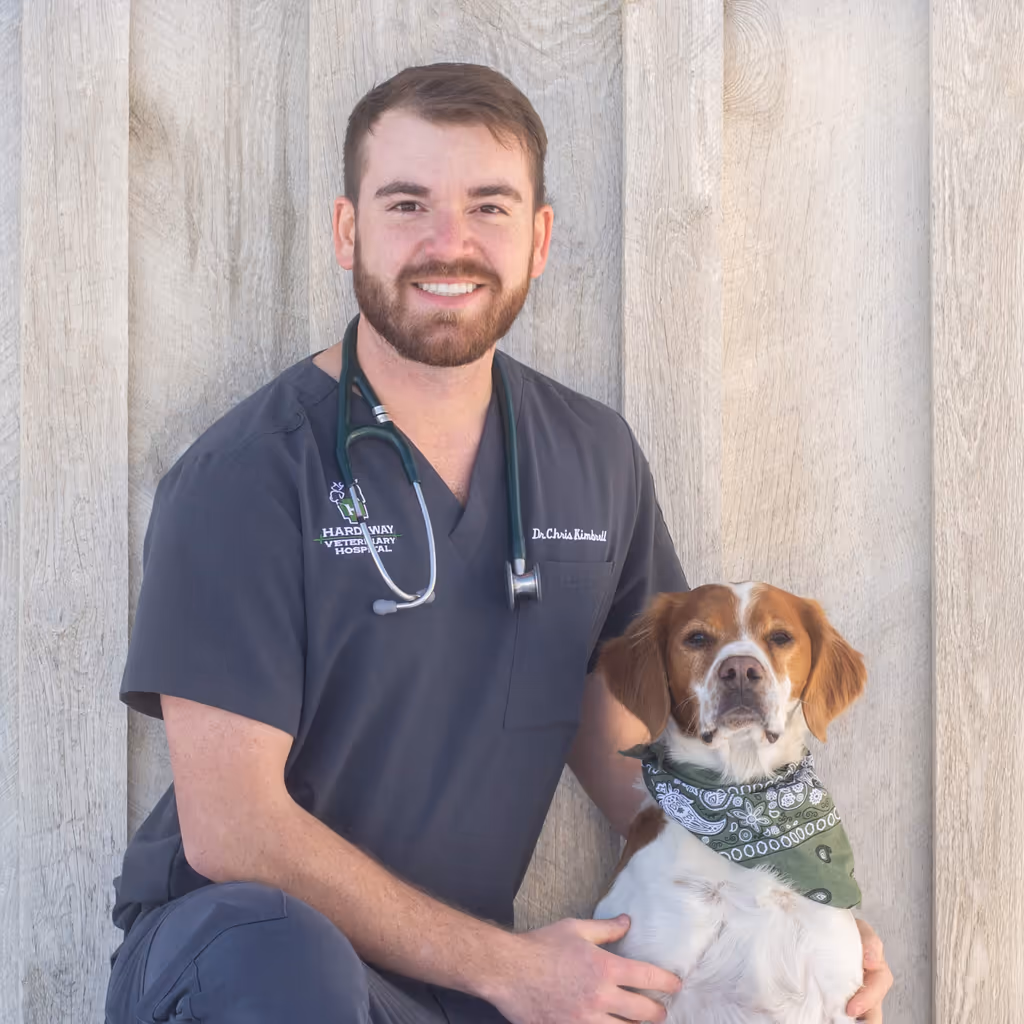 staff profile