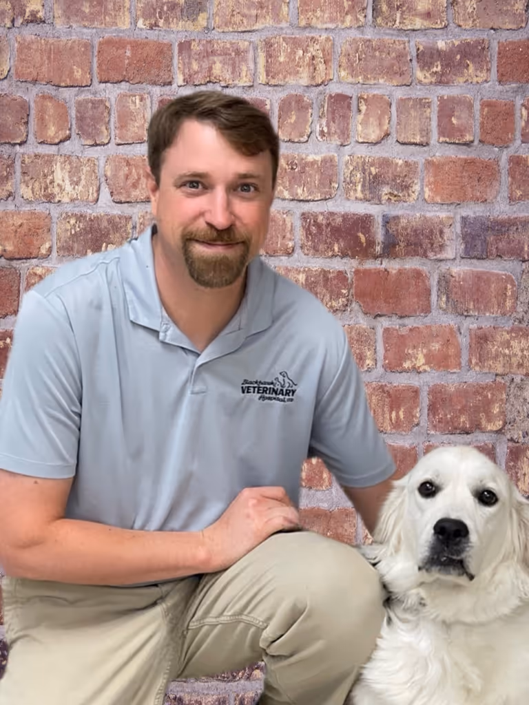 staff profile