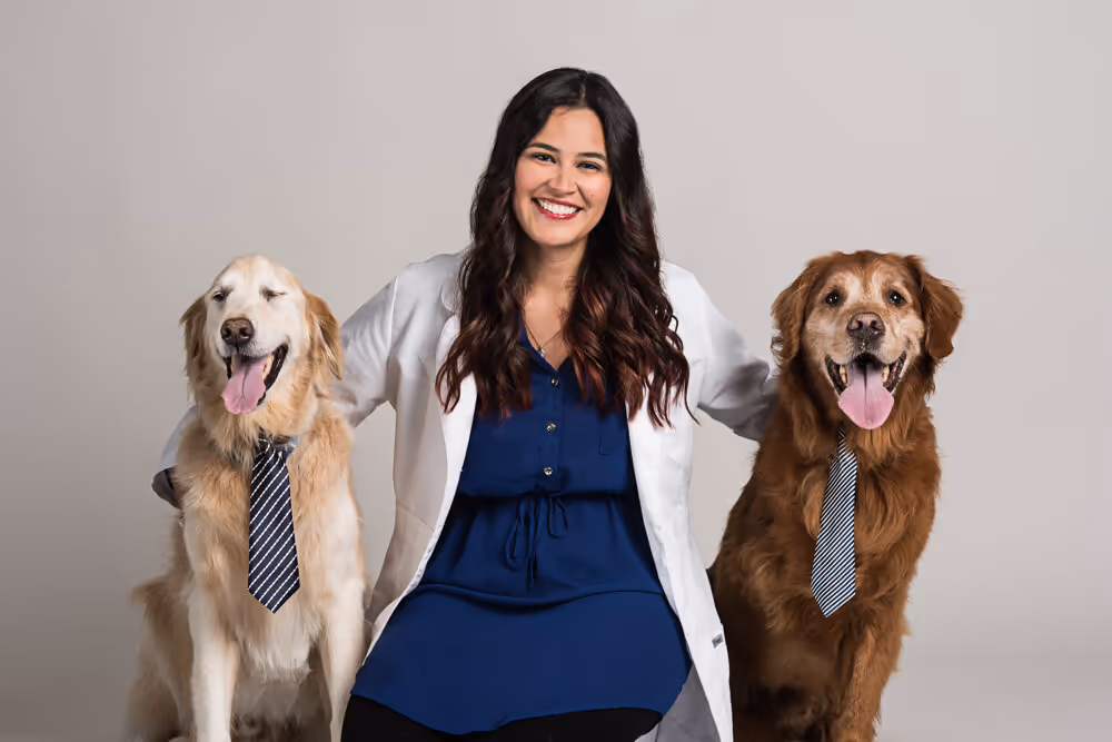 staff profile