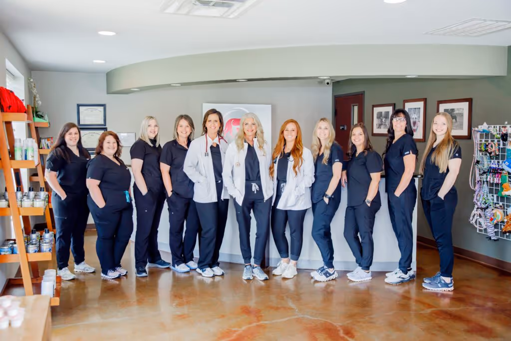 staff profile