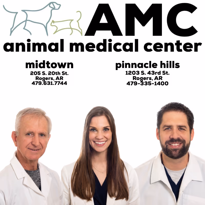 staff profile