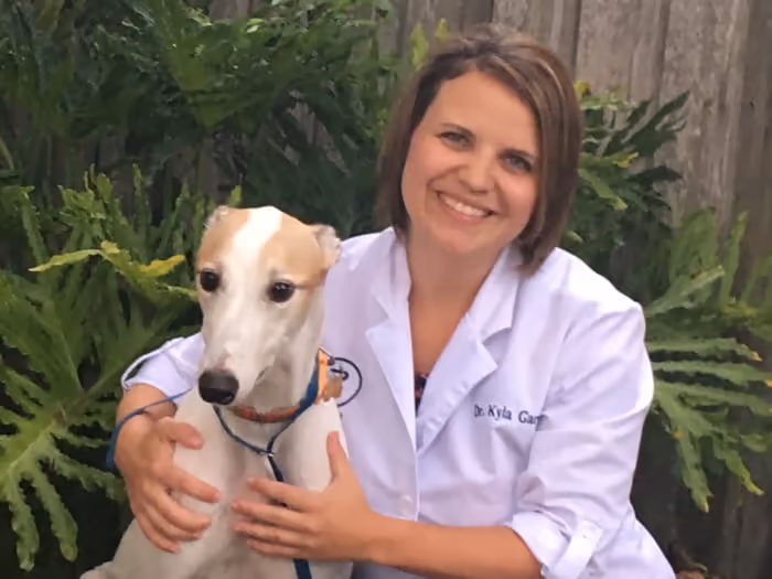 staff profile