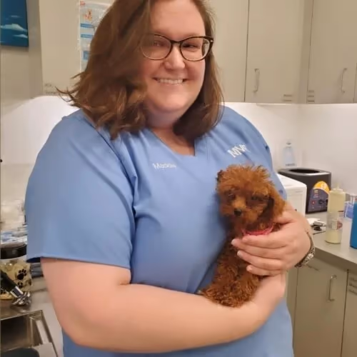 staff profile