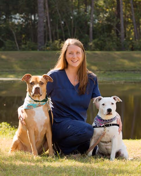 staff profile