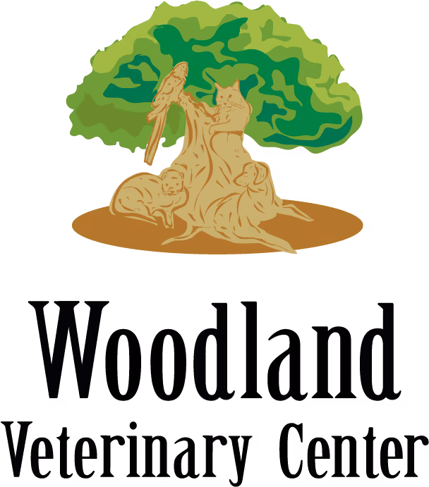 facility profile image