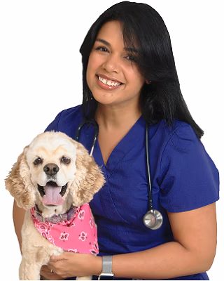 staff profile