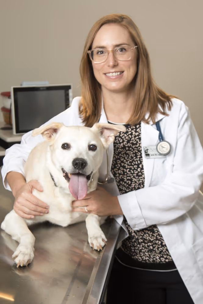 staff profile