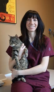 staff profile
