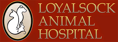 staff profile