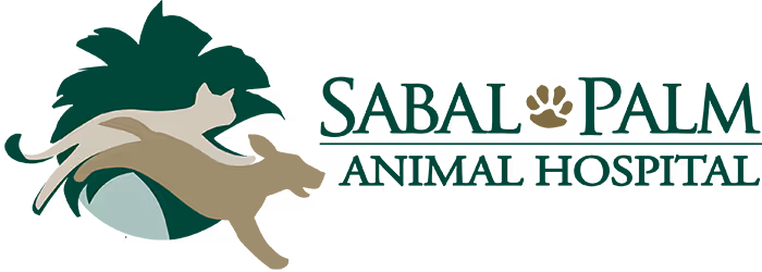 staff profile