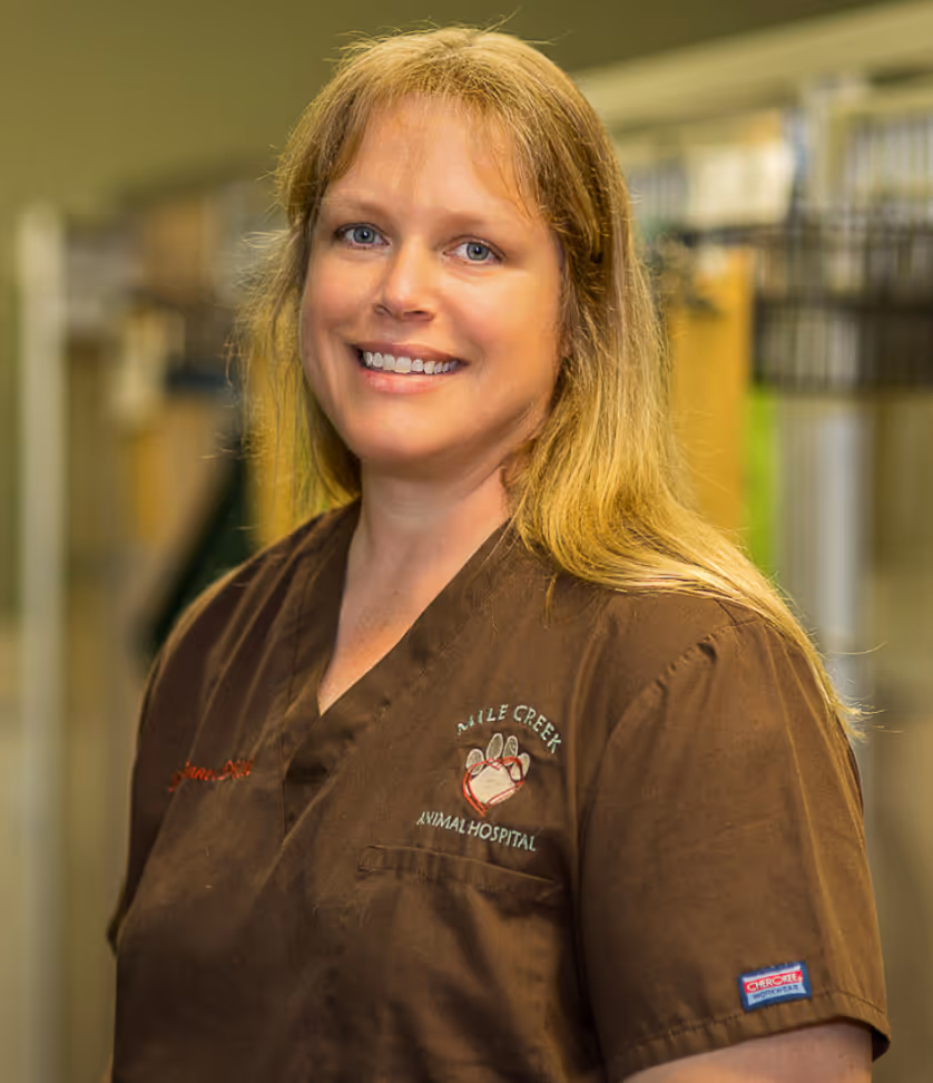 staff profile