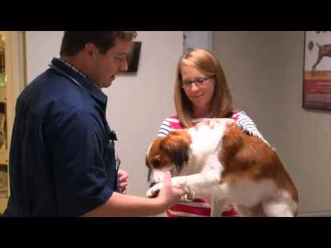 staff profile
