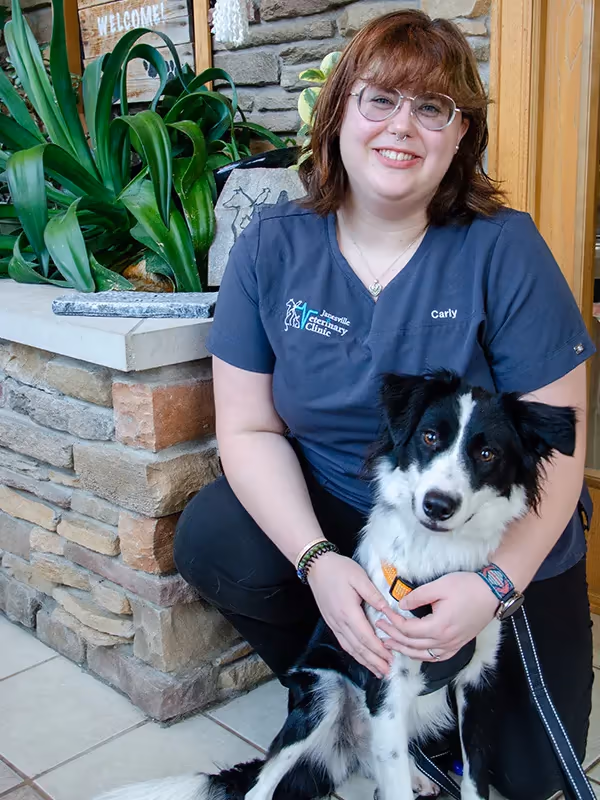 staff profile