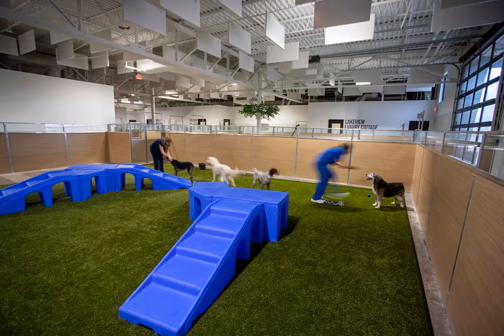 Lakeview Pet Wellness Center - Pet services facility