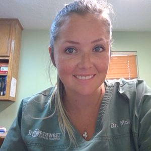 staff profile