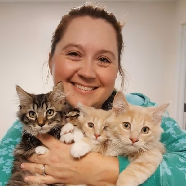 staff profile