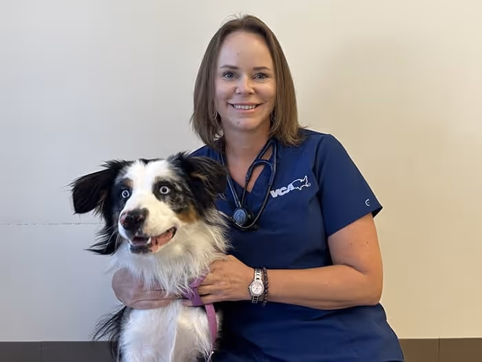 staff profile