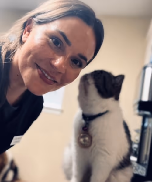 staff profile