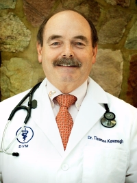 staff profile