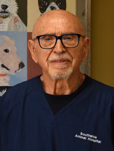 staff profile