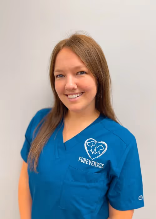 staff profile