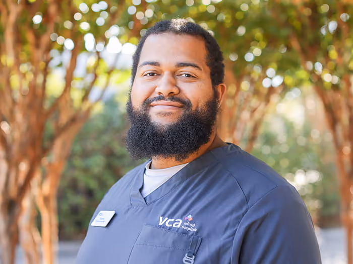 staff profile