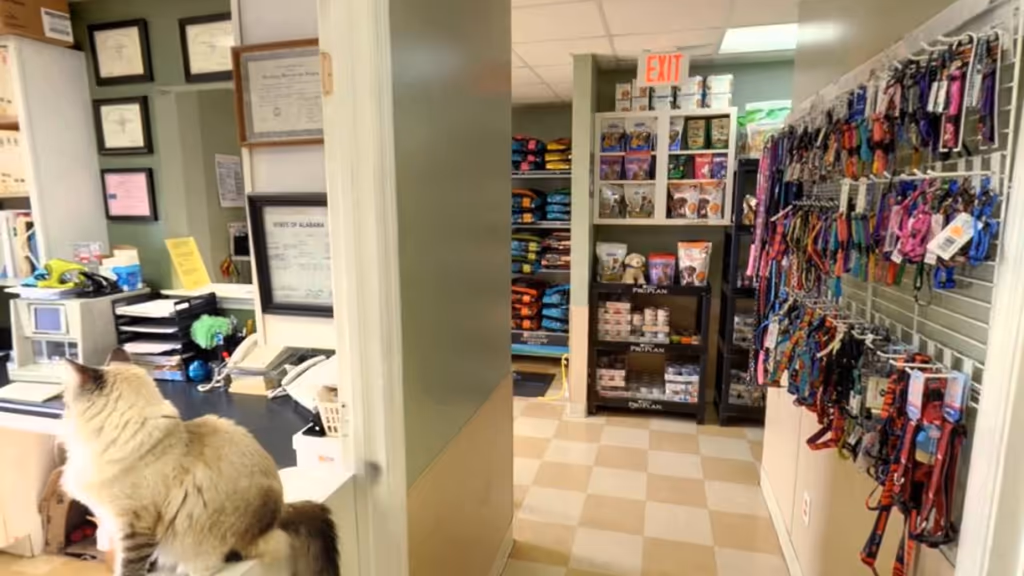 Valley Creek Veterinary Hospital - Pet services facility