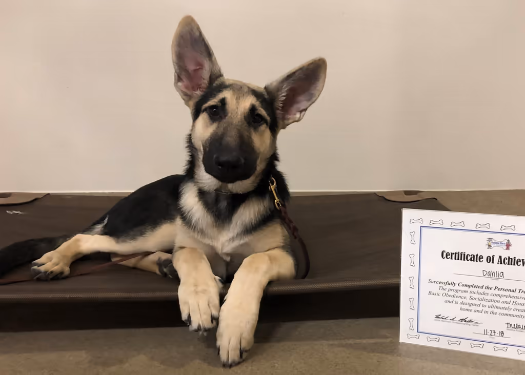 staff profile