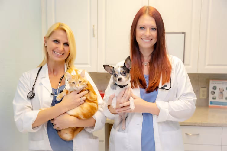 staff profile