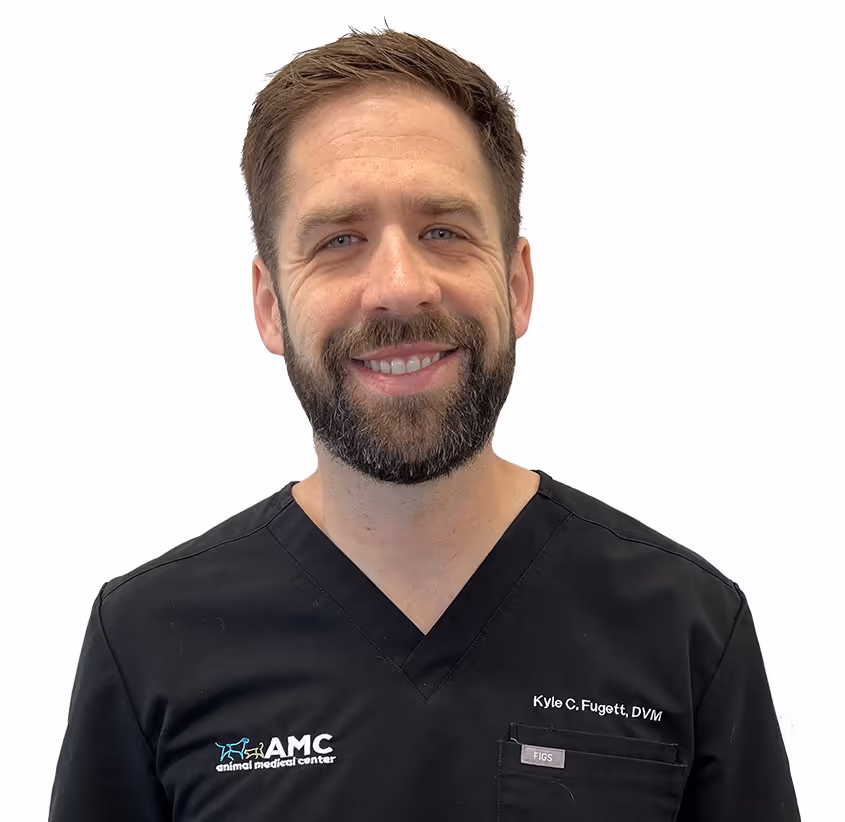 staff profile