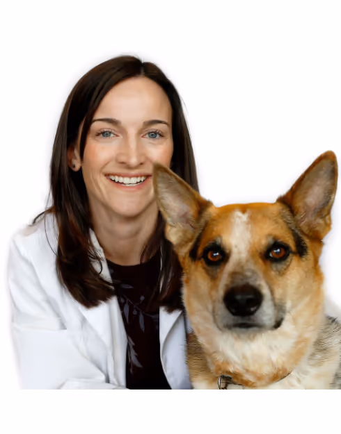 staff profile
