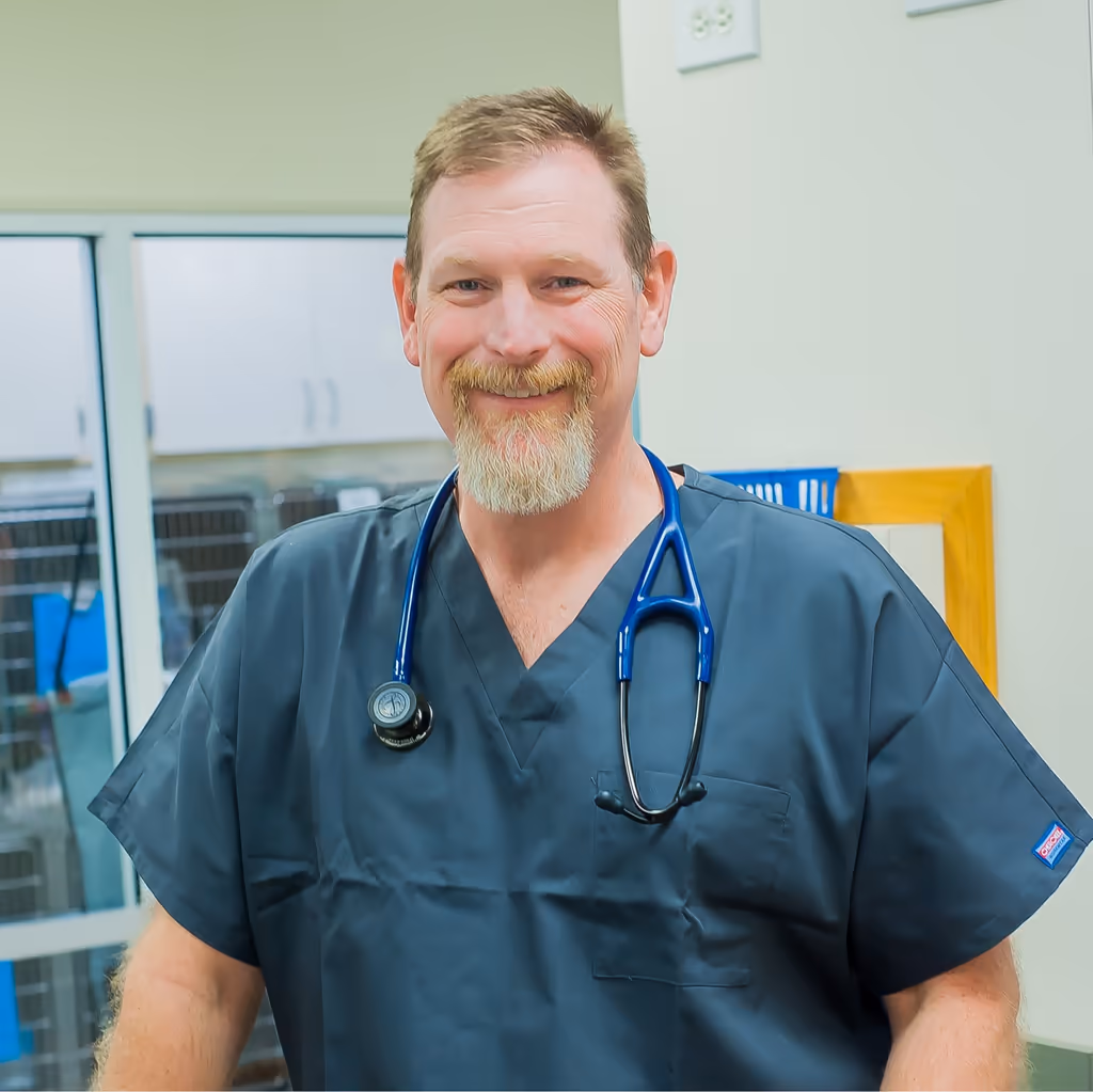 staff profile