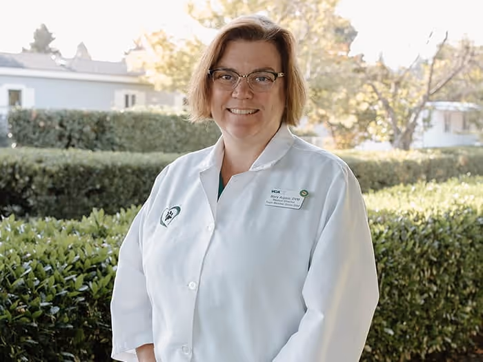 staff profile