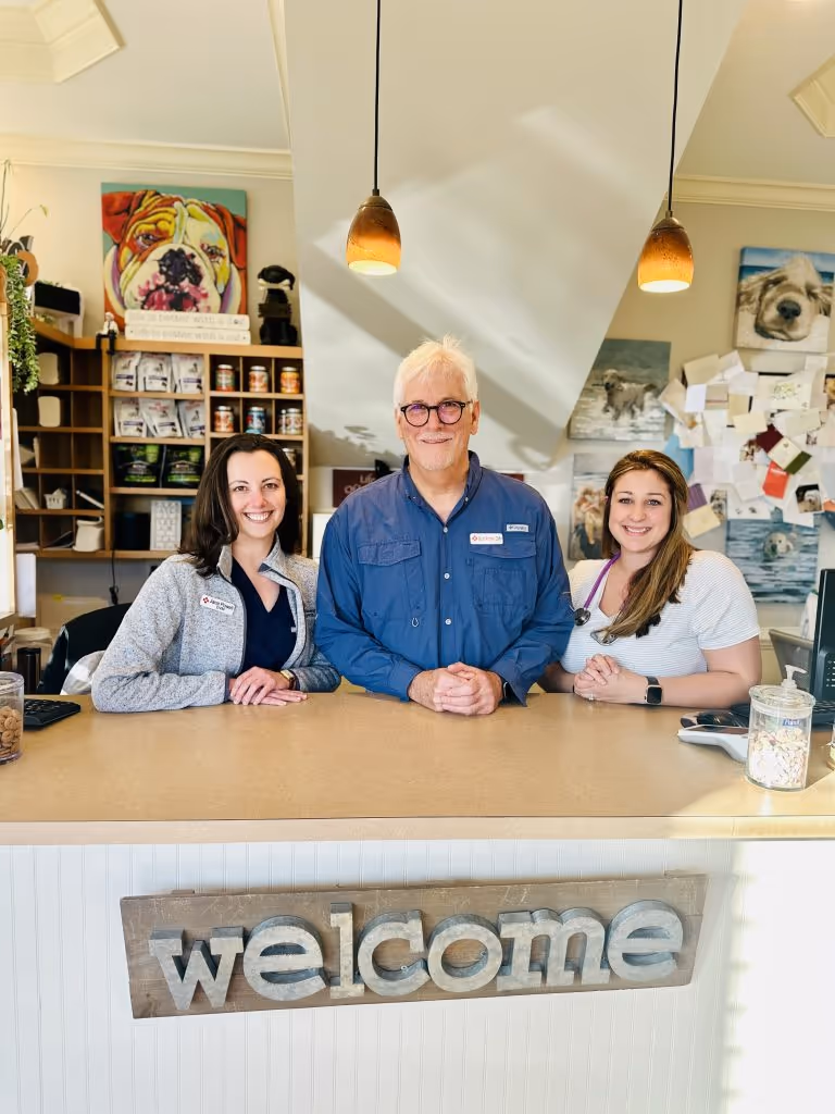 staff profile