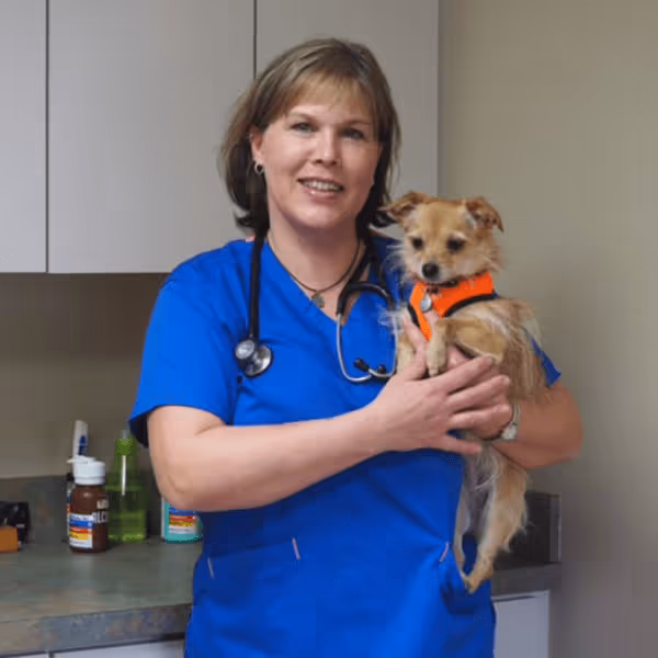 staff profile