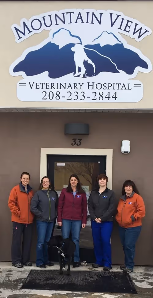 staff profile