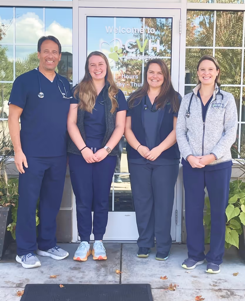 staff profile