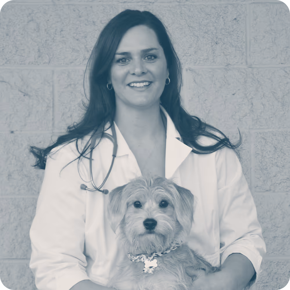 staff profile