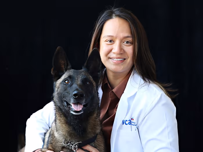 staff profile