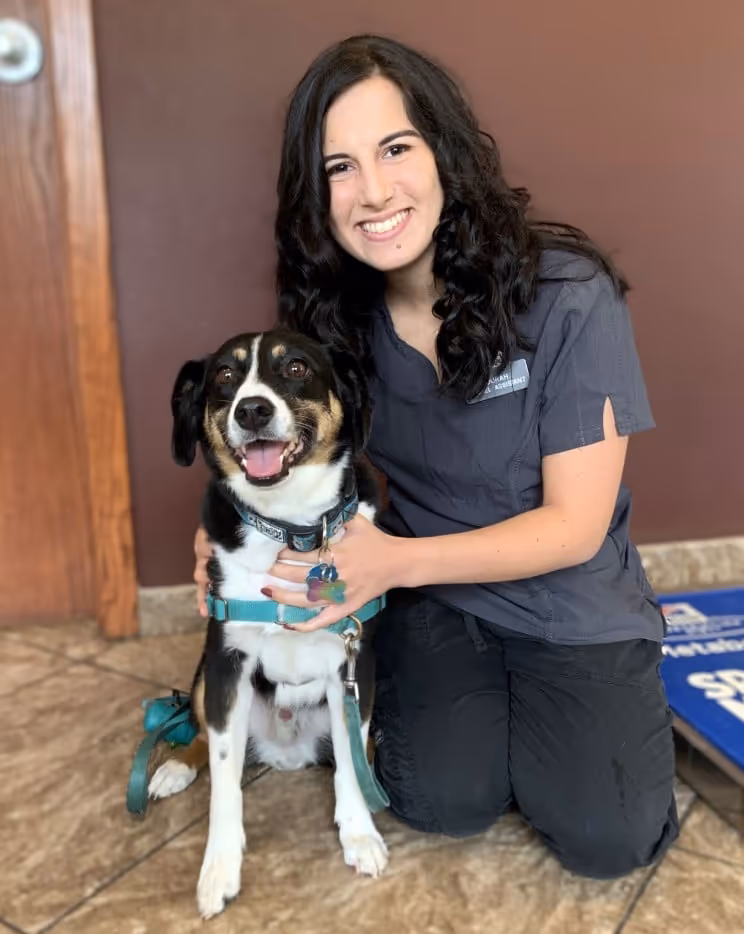 staff profile