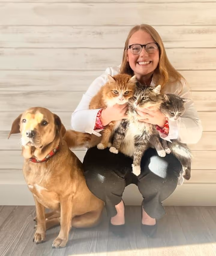 staff profile