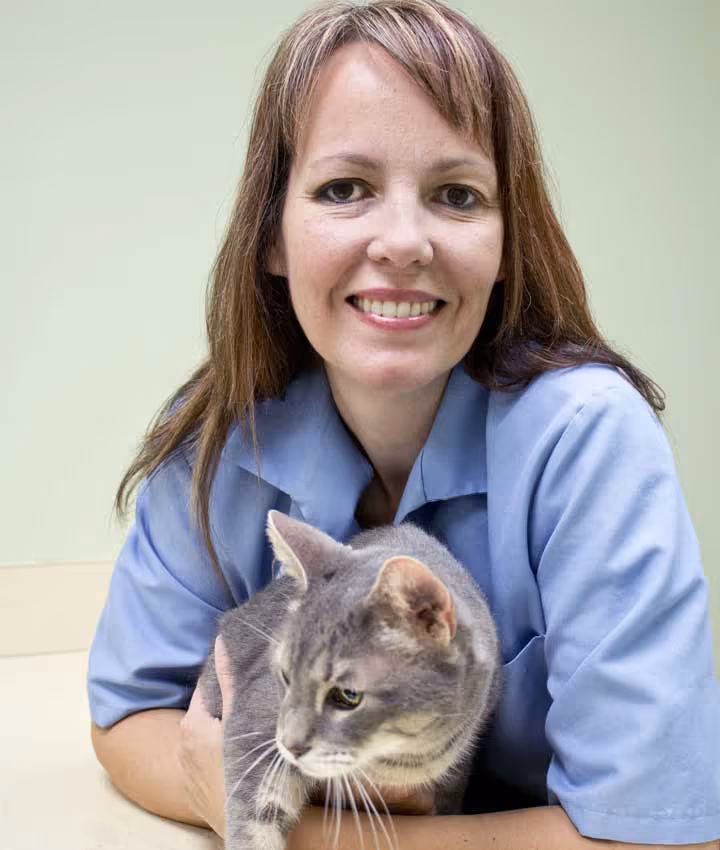 staff profile