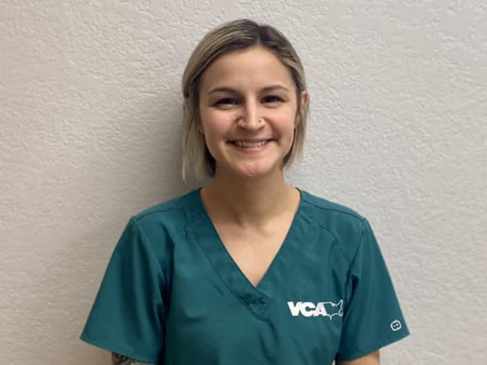 staff profile