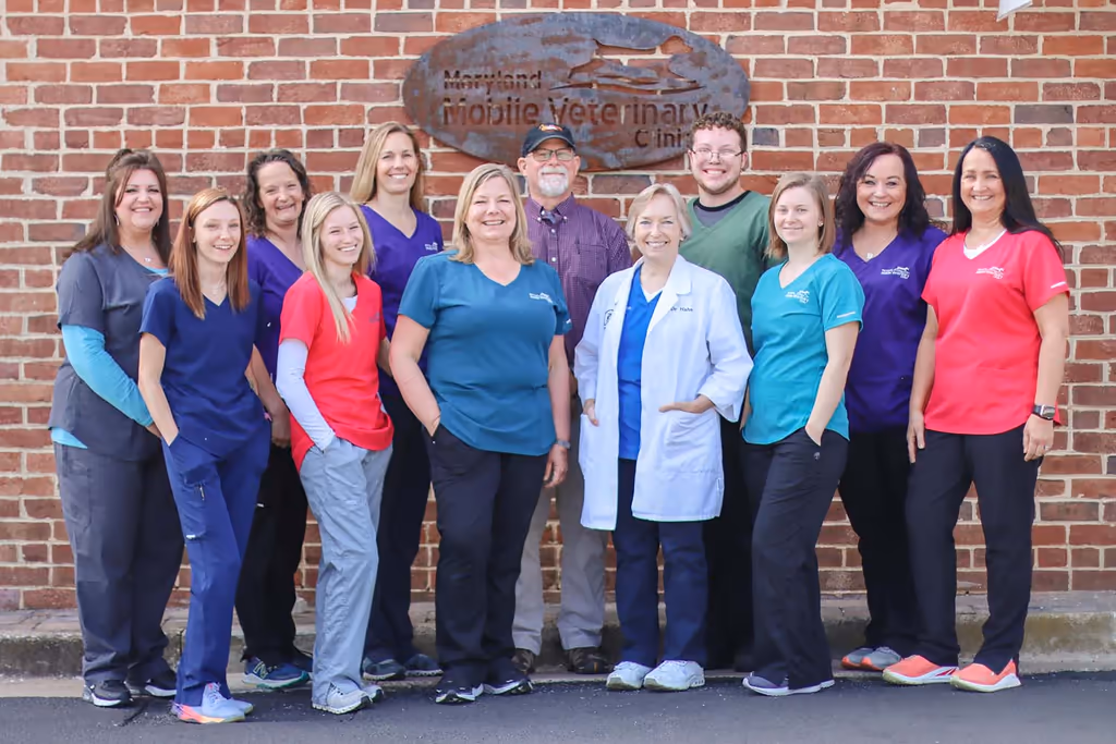 staff profile