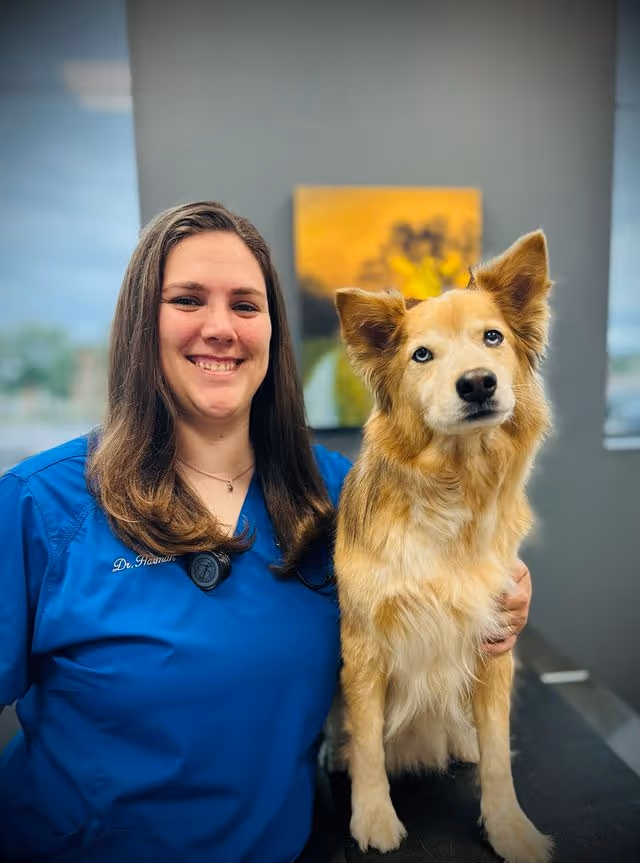 staff profile