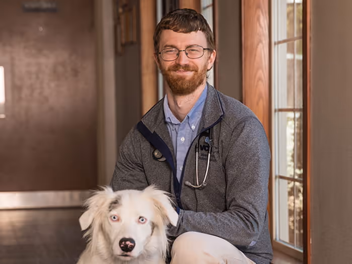 staff profile