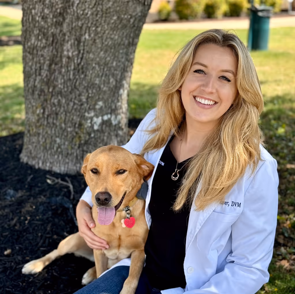 staff profile