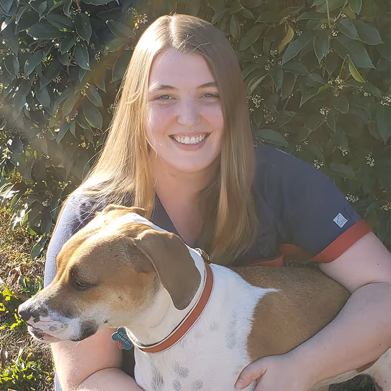 staff profile